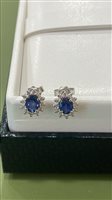 Boucles d'oreilles Floriddia Gioielli Femme in Or blanc Zaffiro 0.84 Ct 59250 ORECCHINI ZAFFIRO E BRILLANTI - 59250 ORECCHINI ZAFFIRO E BRILLANTI